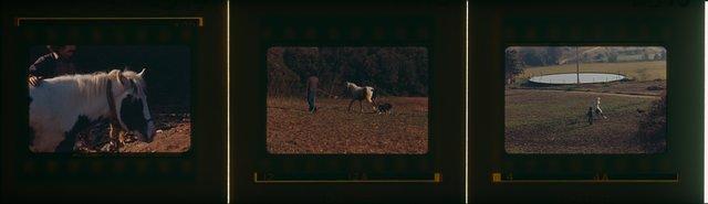 2395 A 2397-diapositives